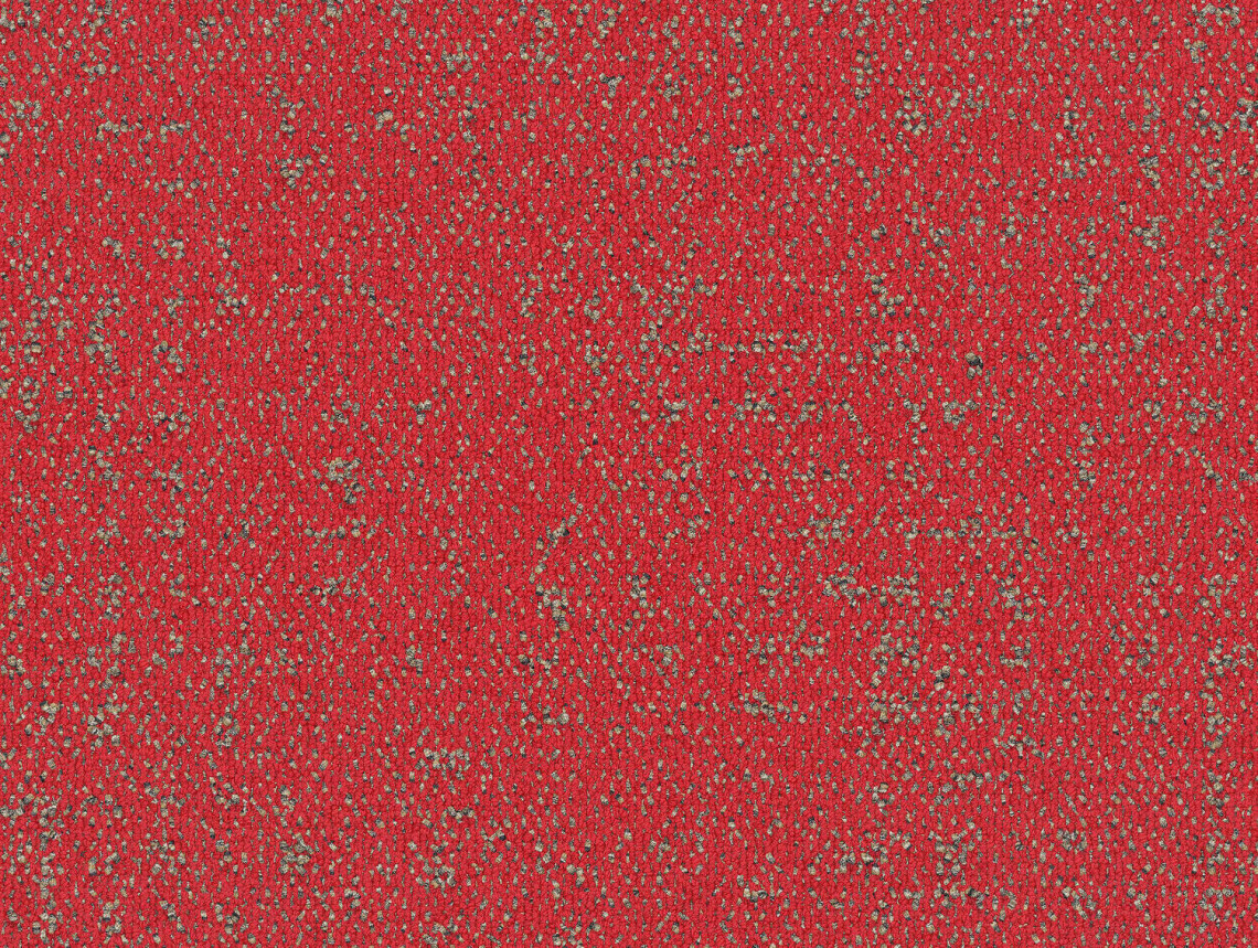 Step It Up - 106330 Coralite